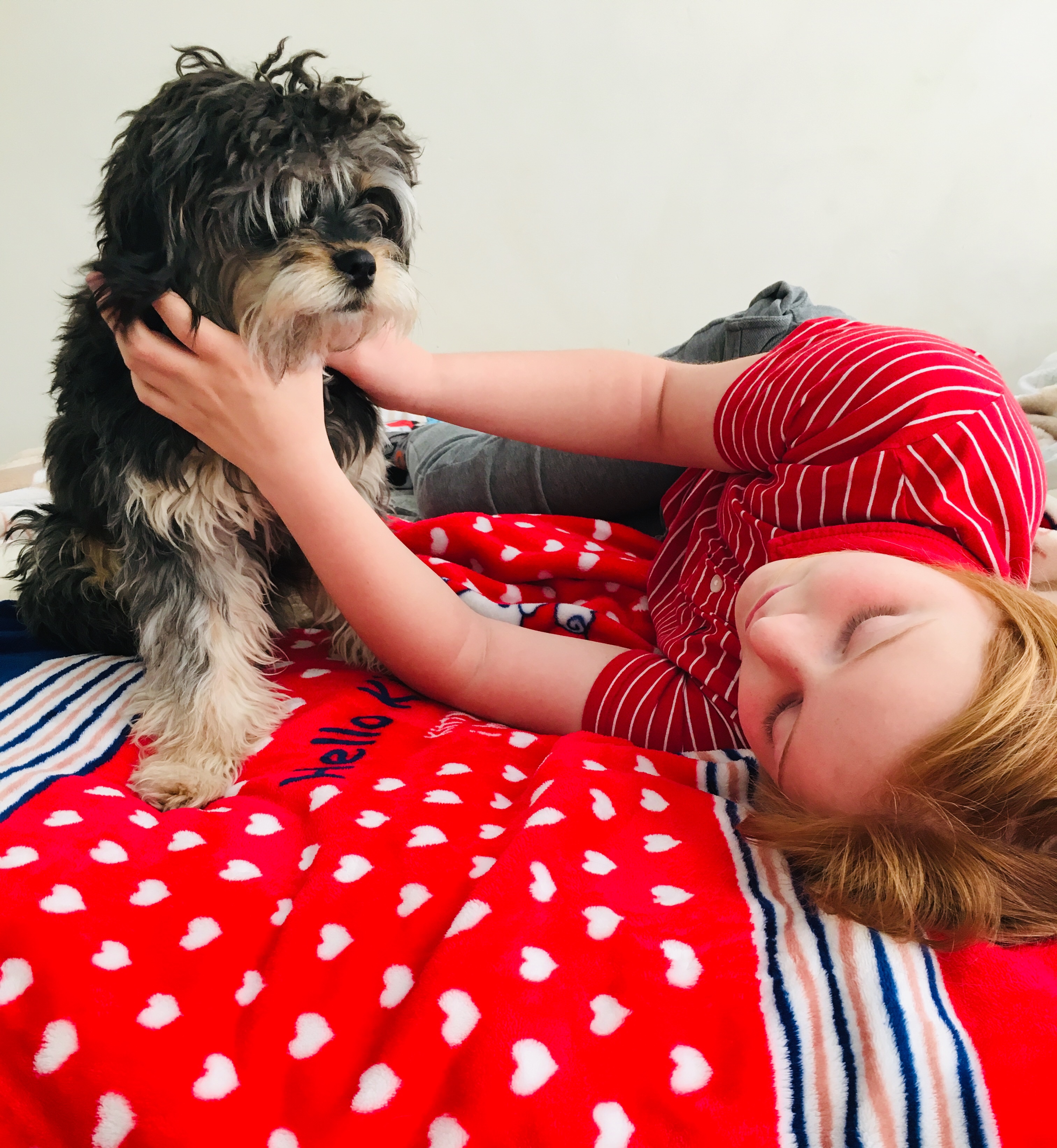 I want to bring my pet to school