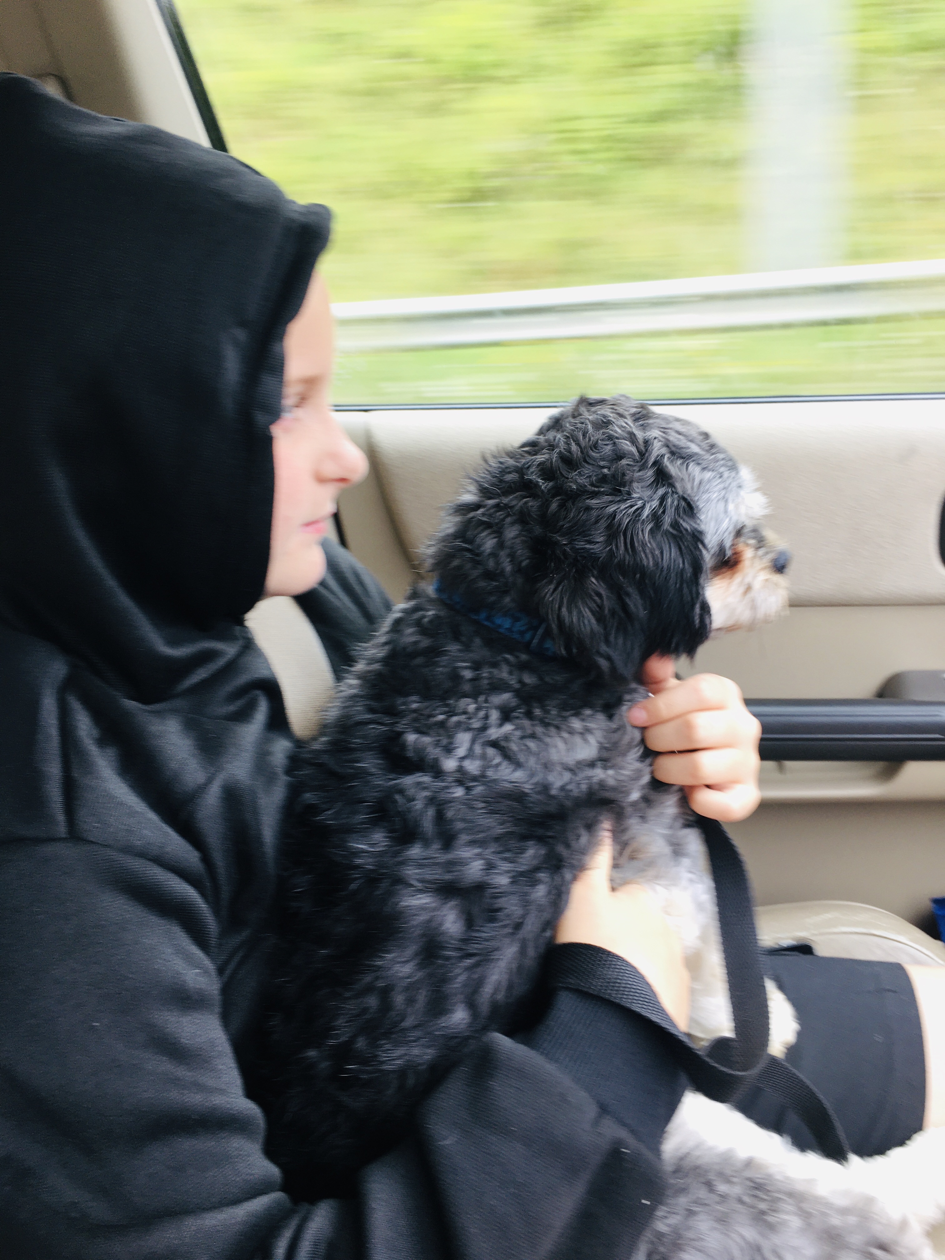 Dreams can come true