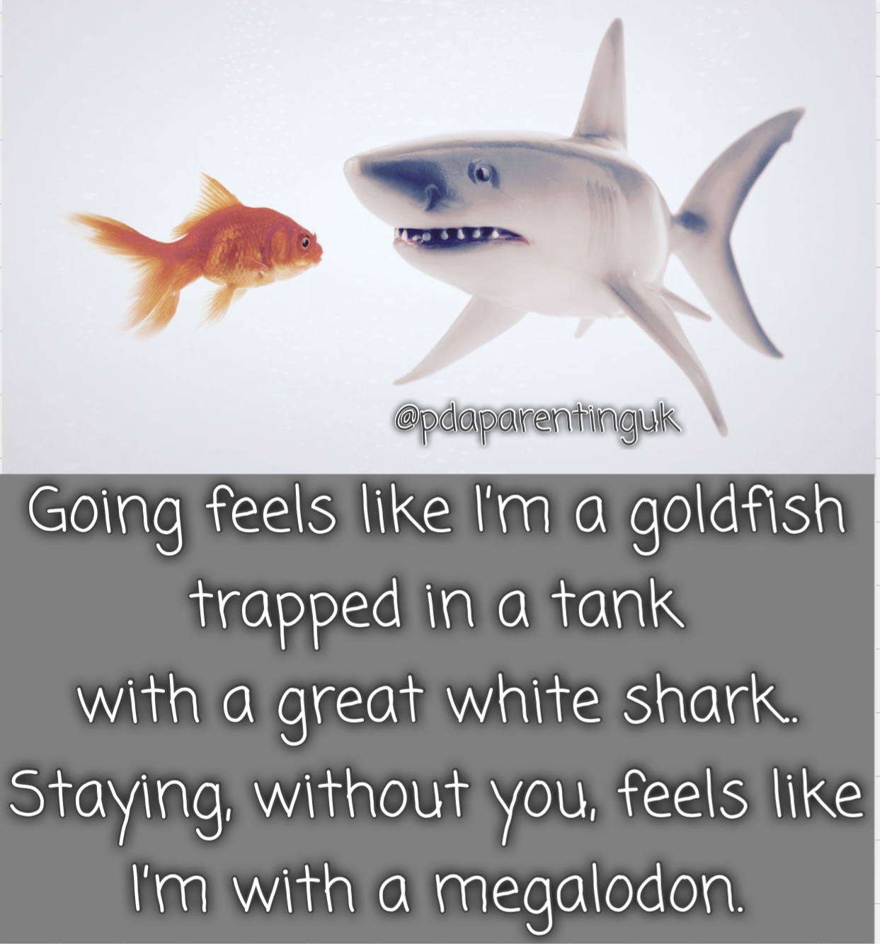 Being the Goldfish